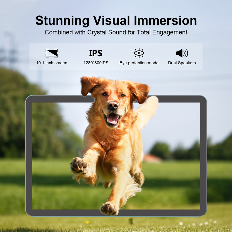 C Idea Tablet de 10,1 pulgadas MTK CPU WIFI Tablet Android con 2 SIM soporte CM8800plus azul